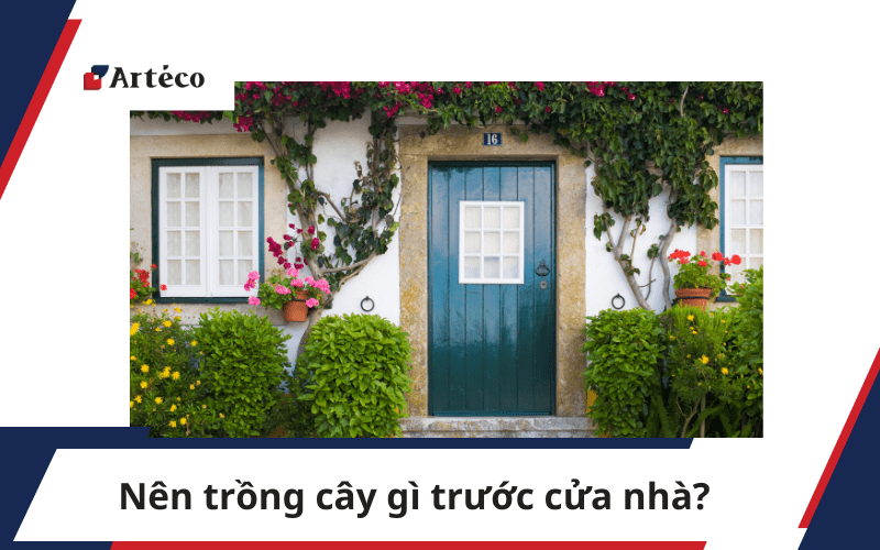 nen-trong-cay-gi-truoc-cua-nha-arteco